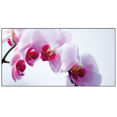 Spritzschutz Küche Orchidee