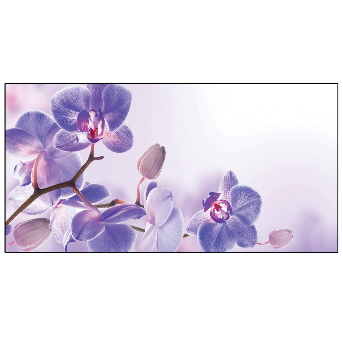 Spritzschutz Küche Tropische Orchideen