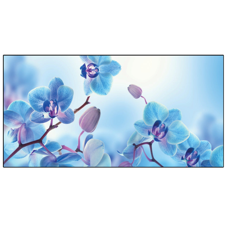 Spritzschutz Küche Blaue Orchideen